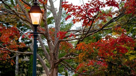 Visit Marblehead: Best of Marblehead Tourism | Expedia Travel Guide