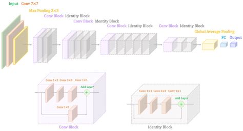 ResNet50 architecture. | Download Scientific Diagram