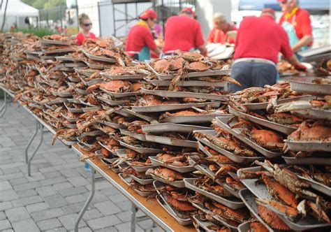 15 Maryland food festivals you can't miss in 2016 - Baltimore Sun