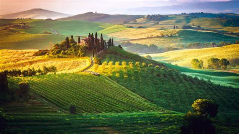 Tuscany vineyard wallpaper - backiee