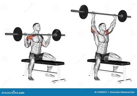 Bodybuilding Chest Exercises For Men Images