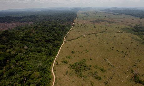 Deforestation in the Amazon Rainforest - Keep Earth Green Photo ...