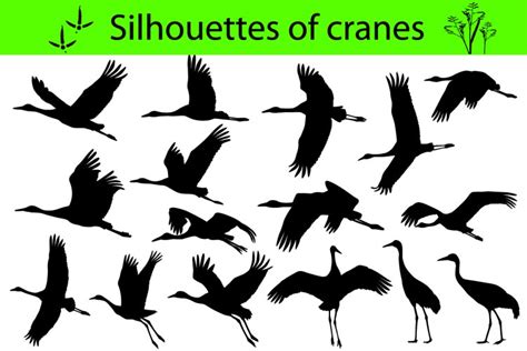 Silhouettes of cranes