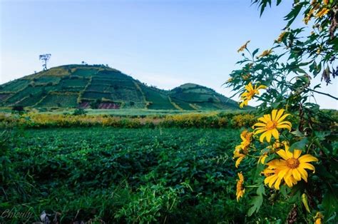 Wild beauty of Chu Dang Ya Volcano | Vietnam Times