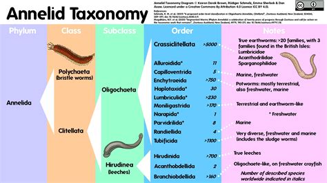 Earthworm Biology | Earthworm Society of Britain