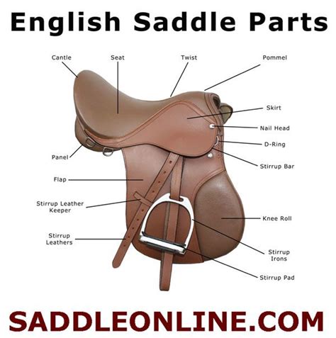 The Parts of an English Saddle | Horse riding tips, English saddle, Horse care