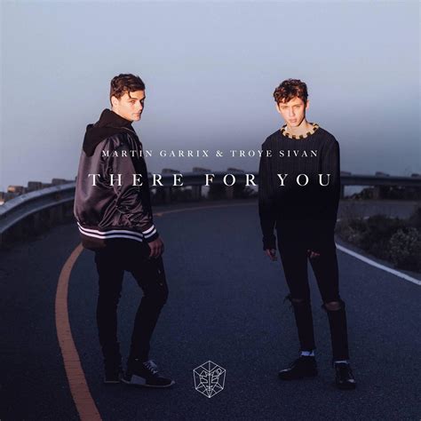 There For You - Martin Garrix/Troye Sivan - 单曲 - 网易云音乐