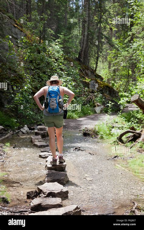 Hiking trail, Jasper National Park, Alberta Canada Stock Photo - Alamy