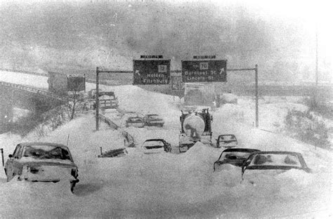 cars buried in snow - Scheiss Weekly