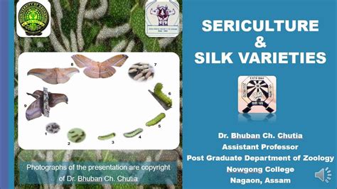 Sericulture & Silk Varieties - YouTube