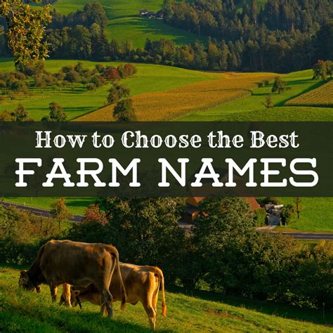 A Guide to Choosing the Best Farm Names - ToughNickel