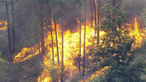 Firefighters frenetic as forest blazes rage on - The Globe and Mail