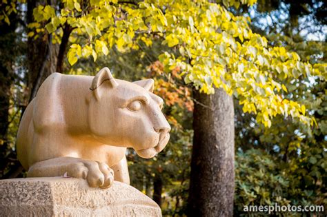 William Ames Photography | Penn State Nittany Lion | Nittany Lion statue close up, facing right