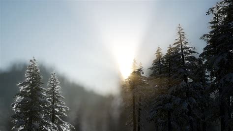 dramatic winter sunrise in the mountains 5634096 Stock Video at Vecteezy