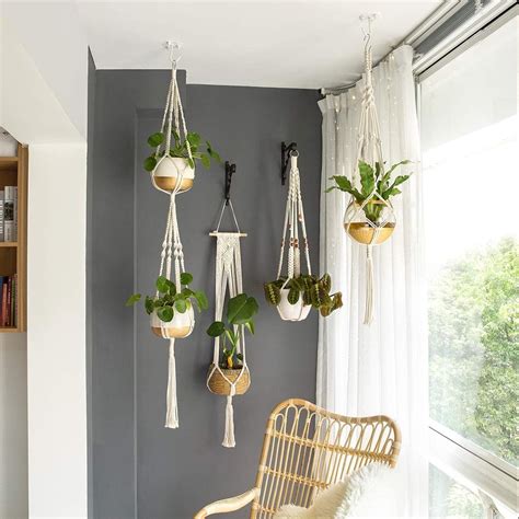 Wall Hanging Plants