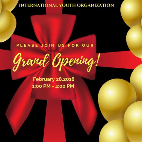 Balloons Grand Opening – International Youth Organization- Non Profit Organization