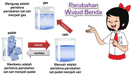 Perubahan Wujud Benda Mencair Membeku dan Menguap | Mikirbae