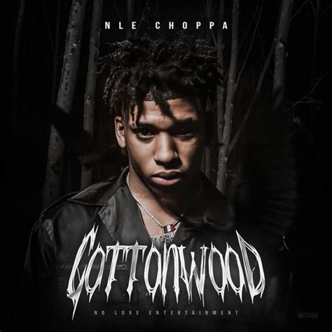 NLE Choppa Drops 'Cottonwood' Project | Complex