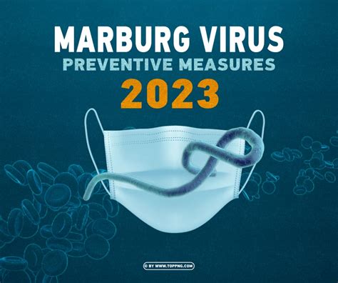 Preventive Measures For The Marburg Virus 2023 Design - Image ID 489198 ...