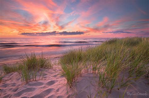 Classic Lake Michigan sunset. Tall green grass blowing in the breeze ...