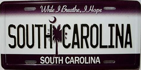 South Carolina State License Plate Novelty Fridge Magnet - Walmart.com ...