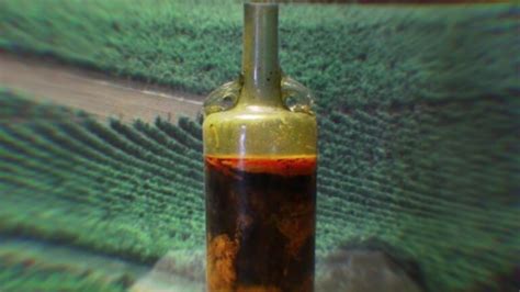 It Might Be Possible To Drink The Oldest Bottle Of Wine In The World | DailyForest