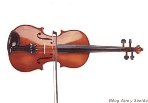 Violin GIF - Find & Share on GIPHY