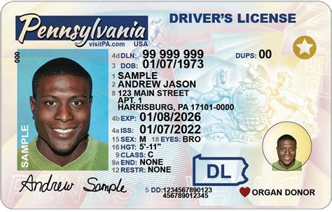 PennDOT Phases In Newly-Designed Driver Licenses, Identification Cards | TMA Bucks