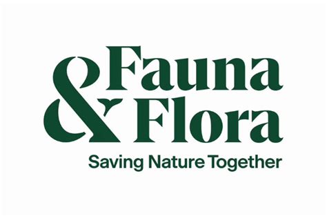 Request For Tender To Supply Camera Traps for Biodiverse Landscapes Fund project with Fauna ...