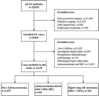 Frontiers | Prognostic Significance of Signet-Ring Cell Components in Patients With Gastric ...