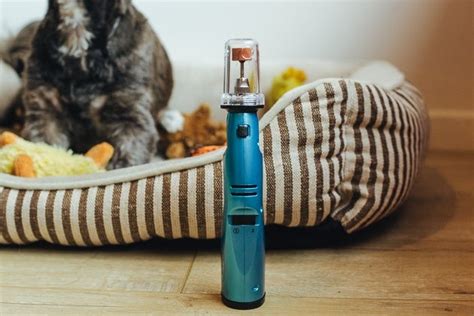 The Best Dog Nail Grinders for 2021 | Reviews by Wirecutter