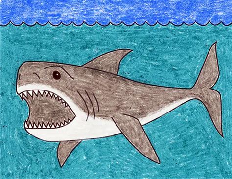 Shark Drawing