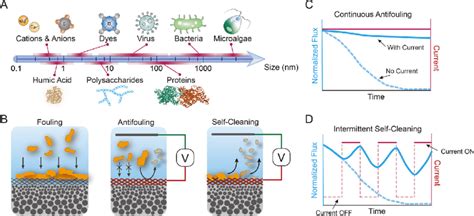 Membrane fouling and scaling control by the implementation of... | Download Scientific Diagram