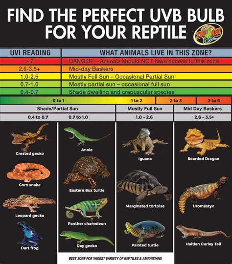 Which UVB Bulb is best for your reptile? Find out what zone your reptile's habitat should be in ...