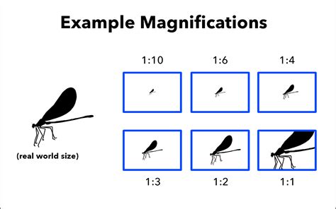 Magnification Ka Hindi Meaning at Harriett Gaines blog