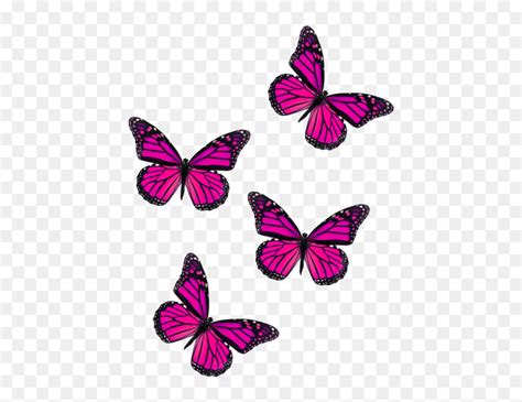 Pink Cute Aesthetic Butterfly Wallpaper