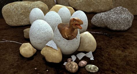 Dinosaur eggs hatched like reptiles - The Statesman