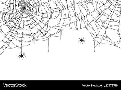 Cobweb background scary spider web with spooky Vector Image