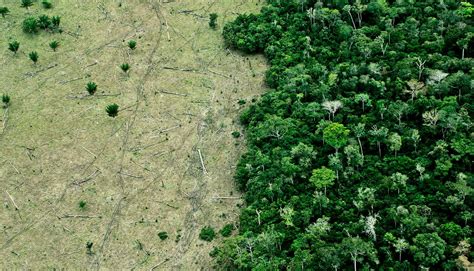 Deforestation drives climate change more than we thought - Futurity