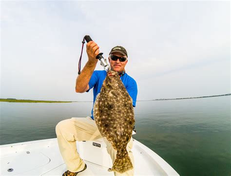 Back Bay Flounder Fishing Avalon NJ | Hit the Surf Charters | Cape May ...