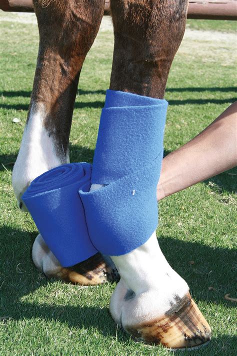 How to Perfect Your Polo Wraps - Young Rider Magazine