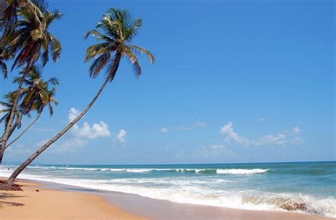 26 Top Beaches in Goa | Best Beach Resorts in Goa (2020)