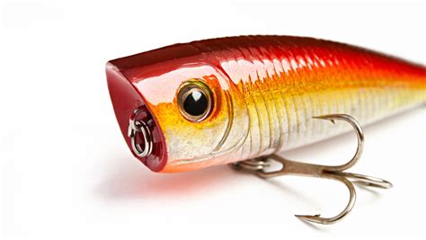 7 Essential Saltwater Fishing Lures That Catch Fish Anywhere.