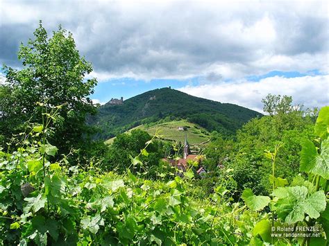 mountains in alsace -- Find articles on #Adventure #Travel , #Outdoor Pursuits, and #Extreme ...