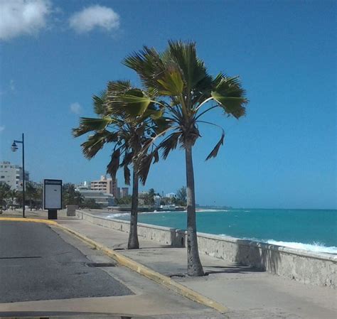 Ocean Park | Puerto rico, Ocean park, Beautiful islands