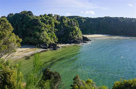 Hiking the Horseshoe Point Track, Stewart Island - See the South Island NZ Travel Blog