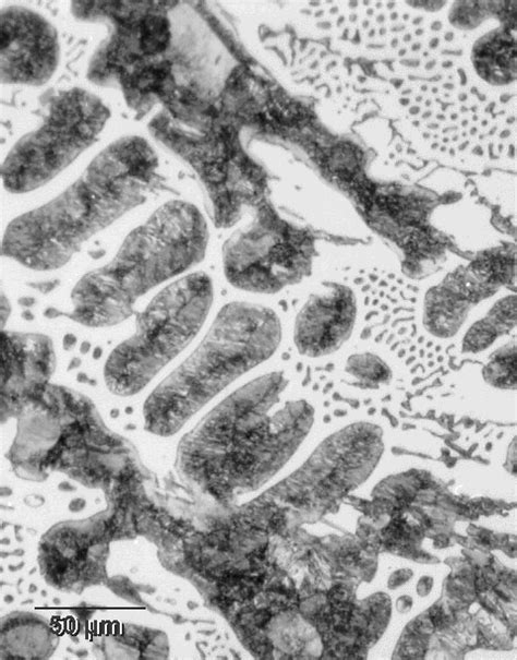 White Cast Iron Microstructure