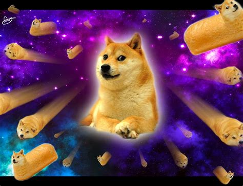 Doge Wallpapers - 4k, HD Doge Backgrounds on WallpaperBat