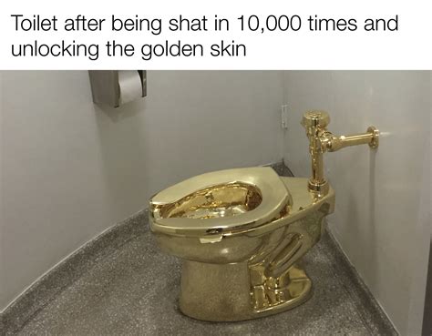 Nice toilet : r/memes