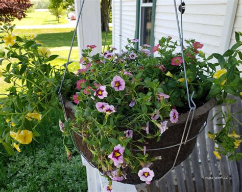 How to Make Your Own Hanging Flower Basket - Eat Travel Life